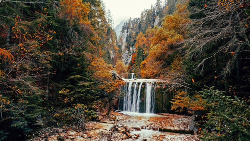 Waterfall surrounded by autumn colored trees.