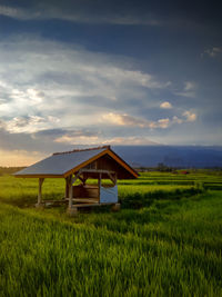 House on field against sky