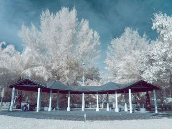 View of trees against cloudy sky