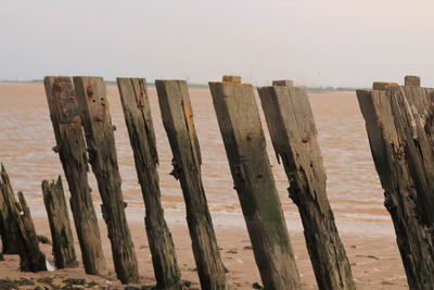 Wooden posts in sea