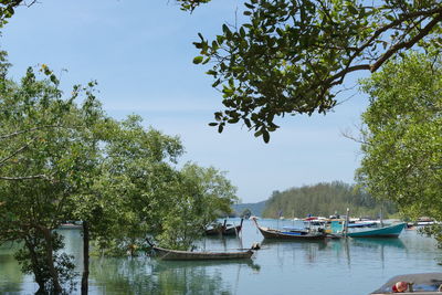 Boats moored in river against sky