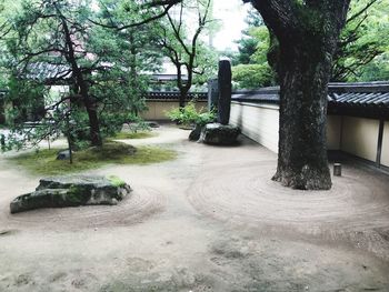 Footpath by trees in park