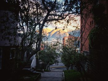 View of buildings in the city