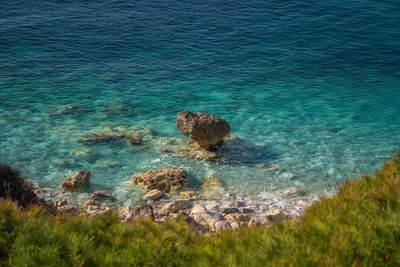 High angle view of crab on rock in sea