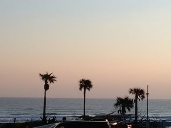 Palm trees on beach against sky