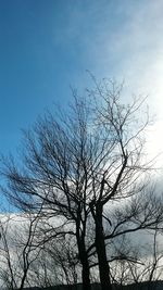 Low angle view of silhouette bare tree against blue sky