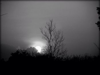 silhouette