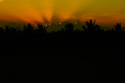 Silhouette trees against orange sky