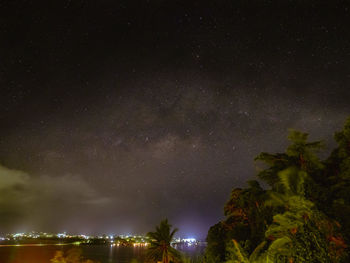 Low angle view of trees against sky at night