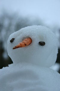 Close-up of frozen sculpture