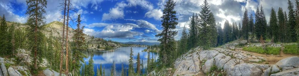 Panoramic view of waterfall in forest