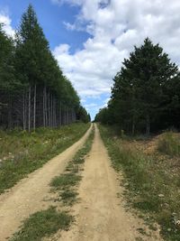 Road amidst trees against sky