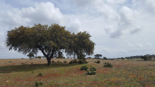 Scenic view of field against cloudy sky