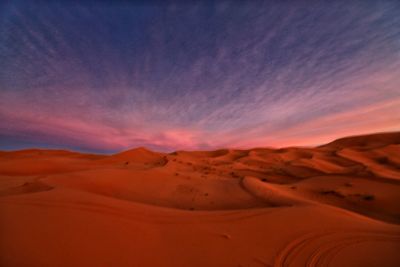North sahara - dunes