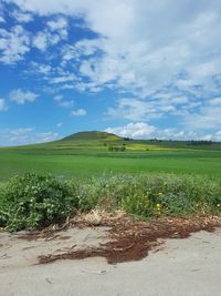 Scenic view of agricultural field against sky