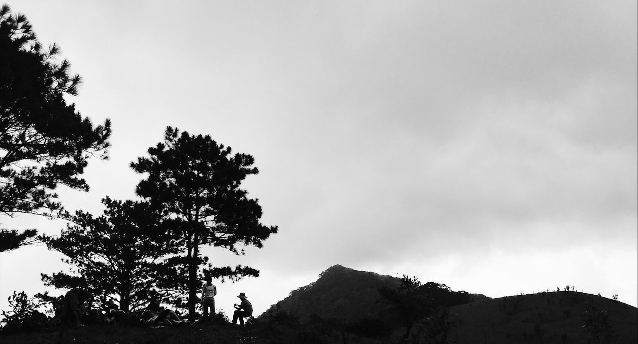 LOW ANGLE VIEW OF SILHOUETTE TREE AGAINST MOUNTAIN AGAINST SKY