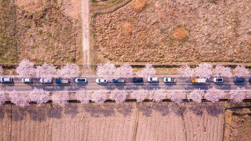 Directly above shot of cars on road