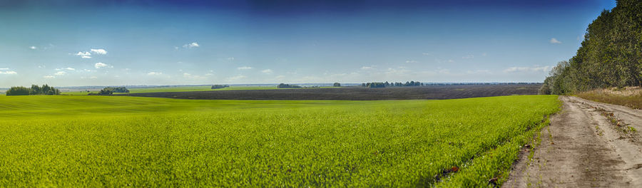 Scenic view of agricultural field against sky
