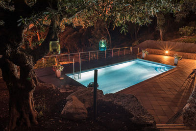 Swimming pool by trees at night