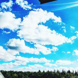 Low angle view of trees against blue sky