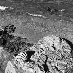 View of sea from shore