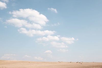 Scenic view of desert against sky