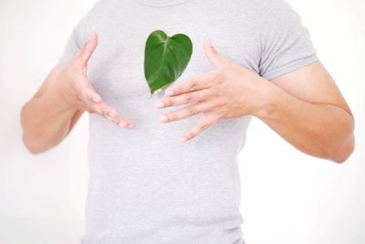 Close-up of hand holding leaf over white background