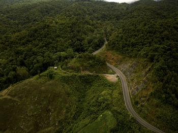 High angle view of road amidst trees in forest