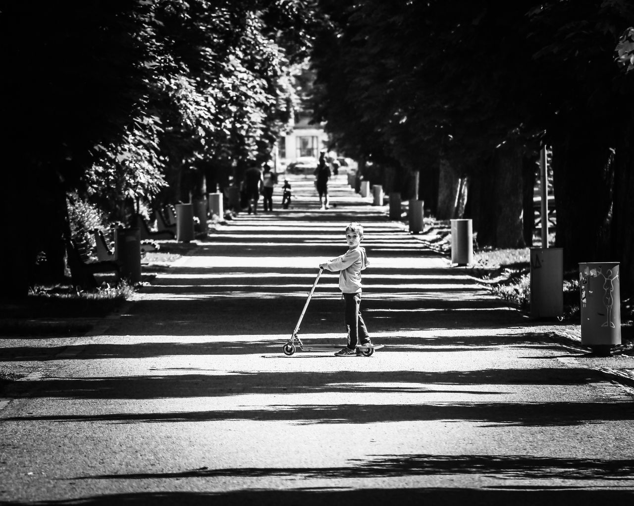 tree, the way forward, steps, footpath, walking, shadow, street, sunlight, cobblestone, building exterior, outdoors, rear view, diminishing perspective, sidewalk, incidental people, day, men, park - man made space