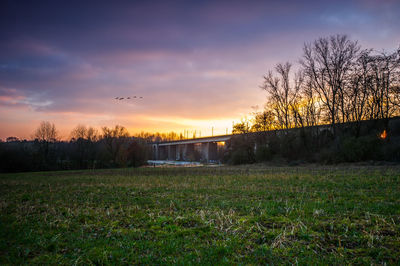 Scenic view of field against sky during sunset