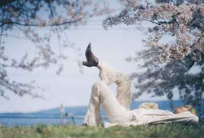 View of a horse against the sky