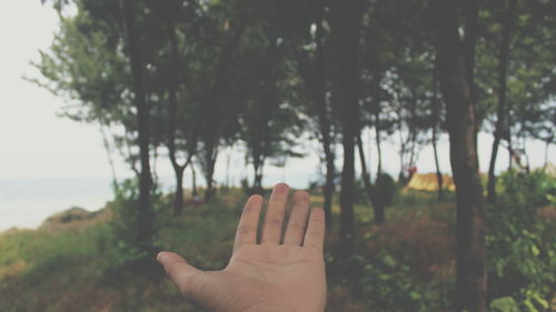 Cropped hand of person against trees