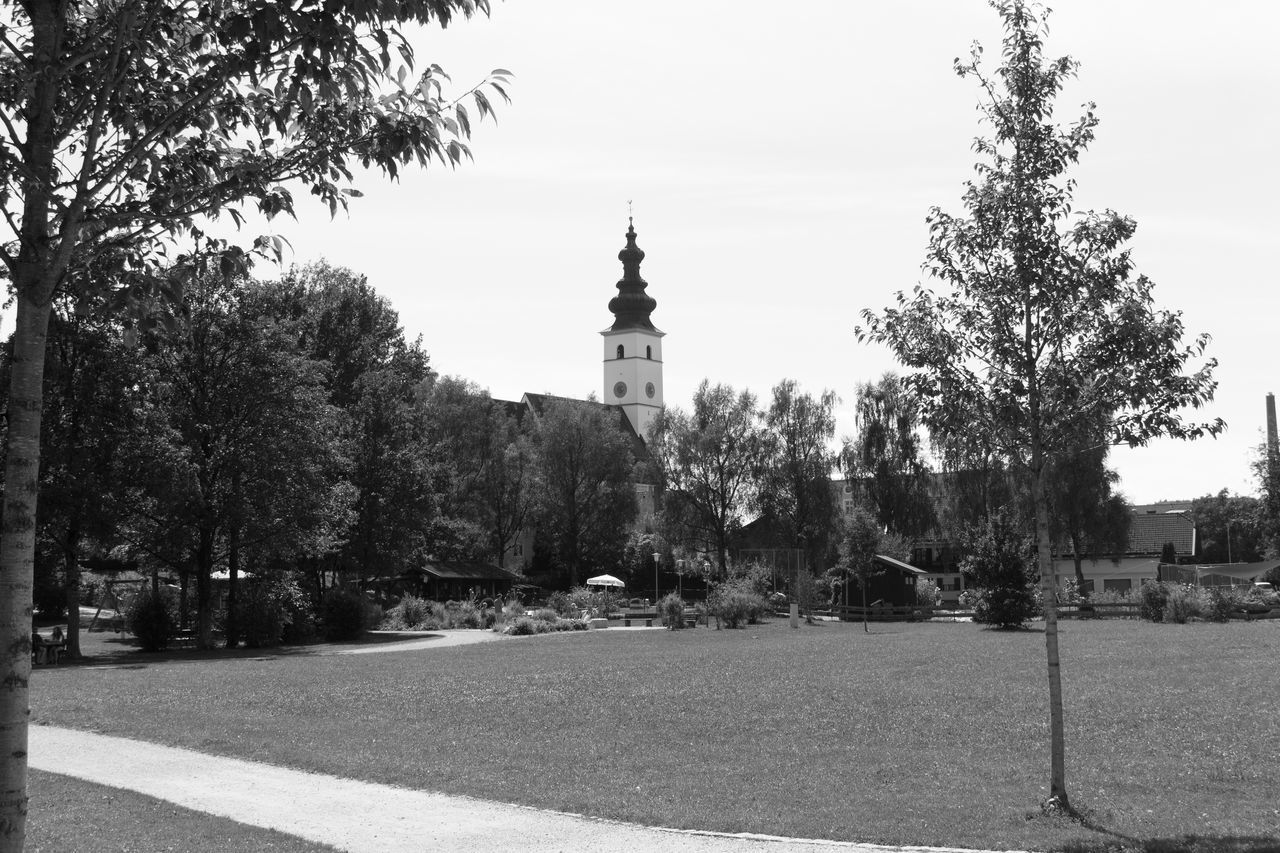 TREES IN FRONT OF TEMPLE