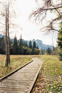 Railroad track amidst trees against sky during autumn
