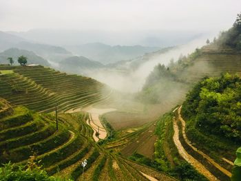 Panoramic view of agricultural field against sky