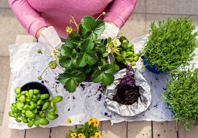 Midsection of woman picking vegetables on table