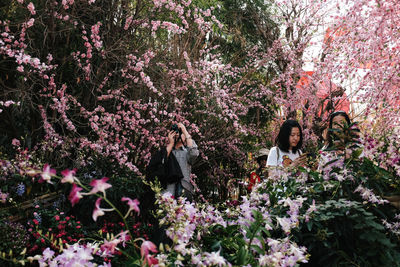 Flowers blooming in park
