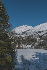 snow