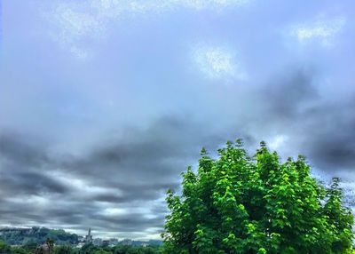 Low angle view of trees against cloudy sky