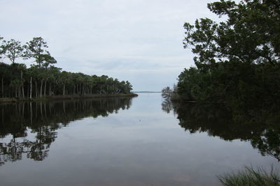 Reflection of trees in calm lake