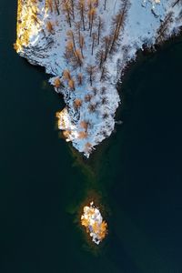 High angle view of plants by lake against sky