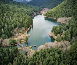 High angle view of lake amidst trees in forest