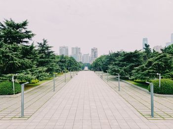 Footpath amidst trees and buildings in city against sky