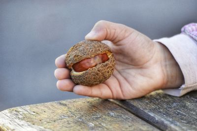 Close-up of hand holding a chestnut 