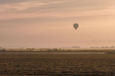 Hot air balloons flying over field against sky during sunset