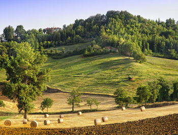 Scenic view of landscape against clear sky