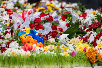 Close-up of multi colored flowering plants