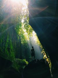 People standing on rock by sea in forest