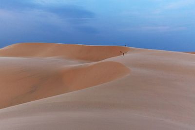 Sand dunes in desert against sky