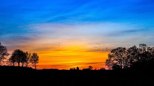 Silhouette trees on landscape against sky at sunset